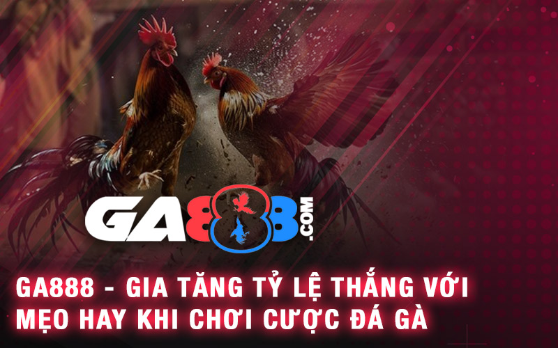GA888 - Gia Tăng Tỷ Lệ Thắng Với Mẹo Hay Khi Chơi Cược Đá Gà