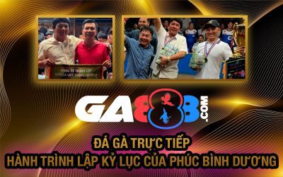 Đá Gà Trực Tiếp – Hành Trình Lập Kỷ Lục Của Phúc Bình Dương