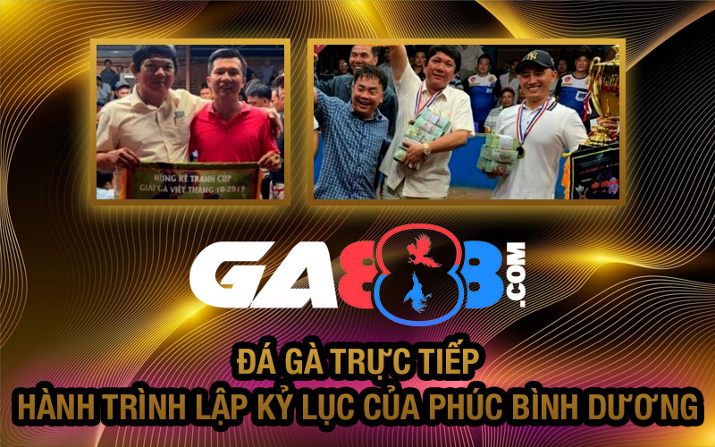 Đá Gà Trực Tiếp - Hành Trình Lập Kỷ Lục Của Phúc Bình Dương