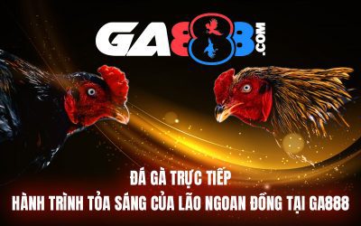 Đá Gà Trực Tiếp – Hành Trình Tỏa Sáng Của Lão Ngoan Đồng Tại GA888