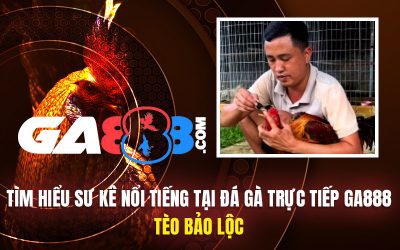 Tìm Hiểu Sư Kê Nổi Tiếng Tại Đá Gà Trực Tiếp GA888 – Tèo Bảo Lộc