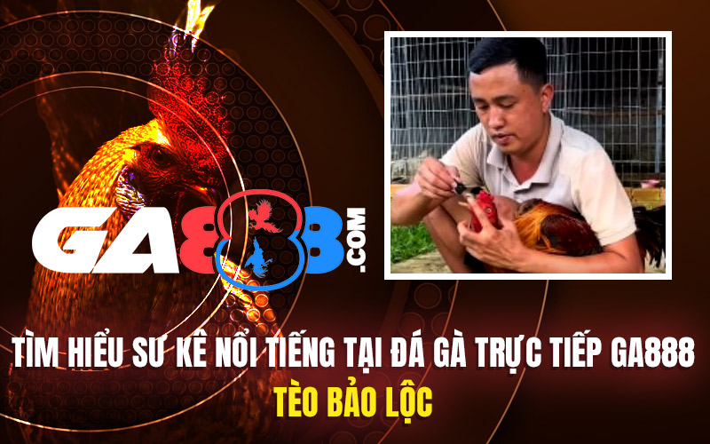 Tìm Hiểu Sư Kê Nổi Tiếng Tại Đá Gà Trực Tiếp GA888 - Tèo Bảo Lộc