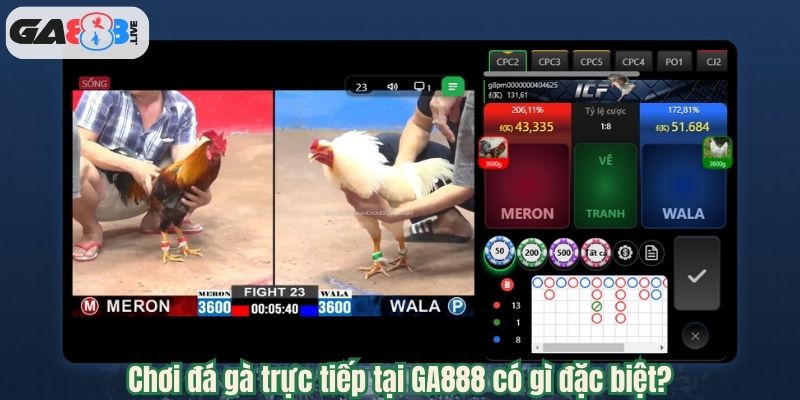 Chơi đá gà trực tiếp tại GA888 có gì đặc biệt?