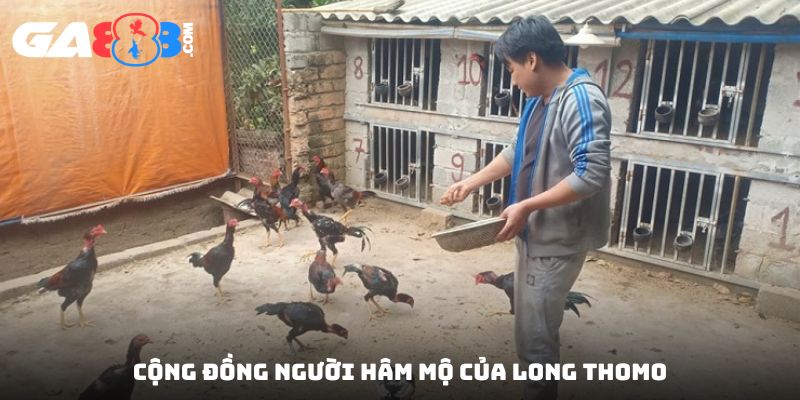 Cộng đồng người hâm mộ của Long Thomo
