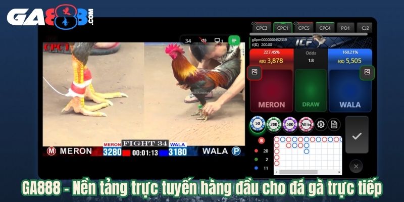 GA888 - Nền tảng trực tuyến hàng đầu cho đá gà trực tiếp