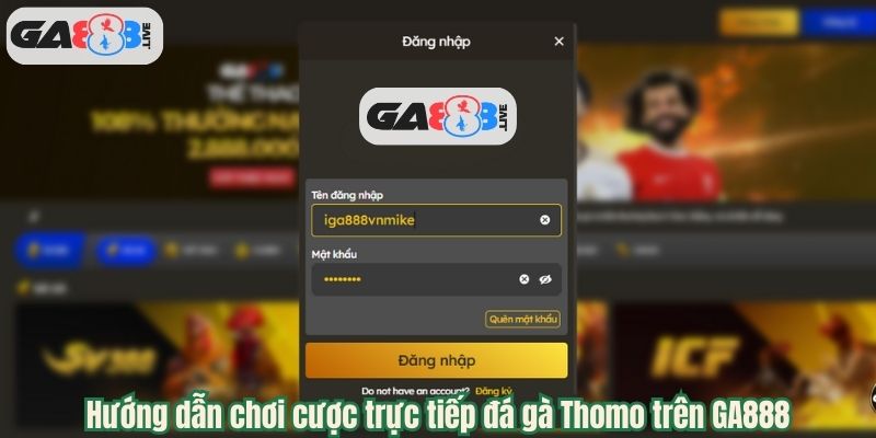 Hướng dẫn chơi cược trực tiếp đá gà Thomo trên GA888