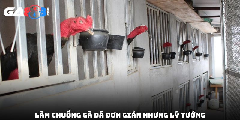Làm chuồng gà đá đơn giản nhưng lý tưởng