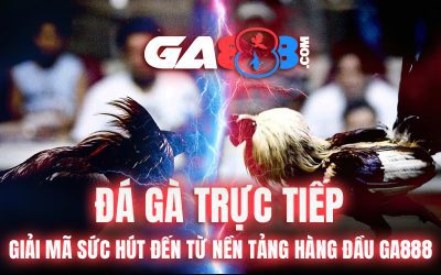 Đá Gà Trực Tiếp – Giải Mã Sức Hút Đến Từ Nền Tảng Hàng Đầu GA888