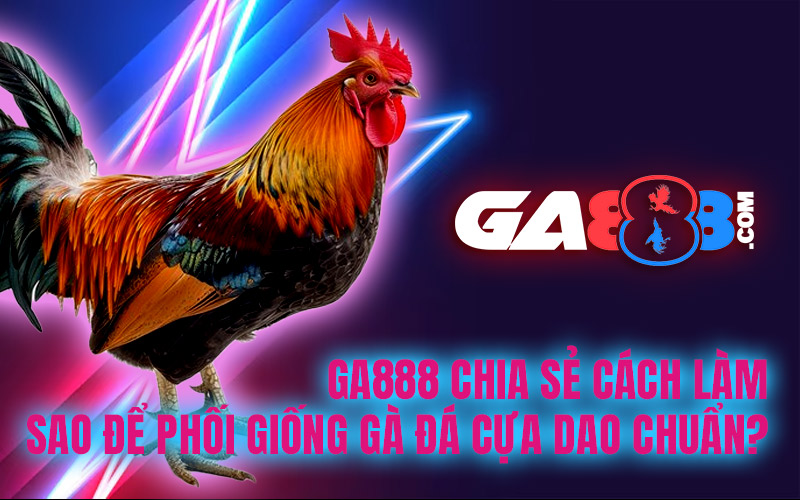 GA888 chia sẻ cách làm sao để phối giống gà đá cựa dao chuẩn?