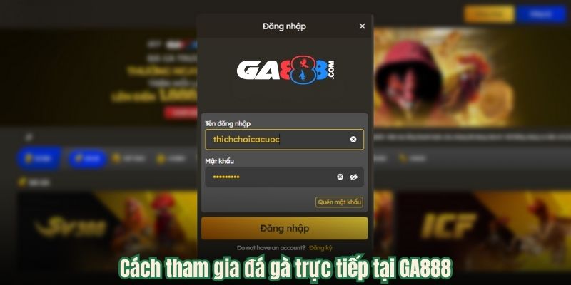 Cách tham gia đá gà trực tiếp tại GA888