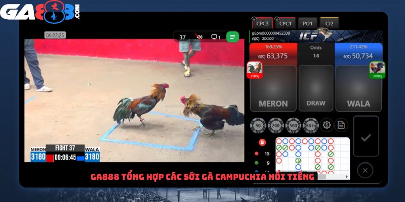 GA888 tổng hợp các sới gà tại Campuchia nổi tiếng