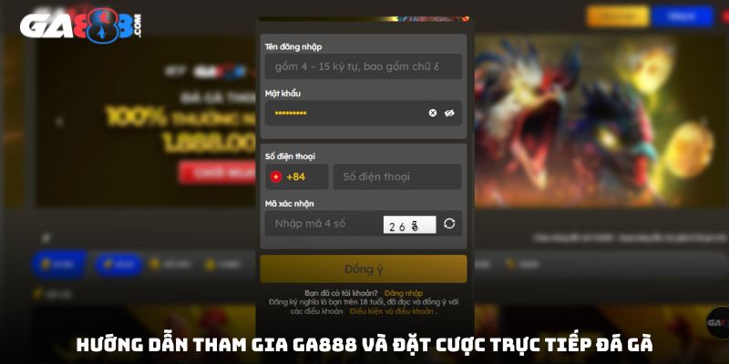 Hướng dẫn tham gia GA888 và đặt cược trực tiếp đá gà