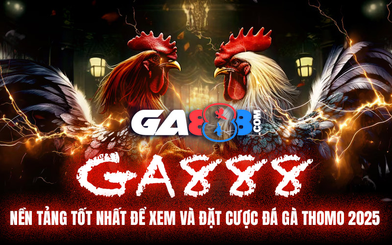 GA888 - Nền Tảng Tốt Nhất Để Xem Và Đặt Cược Đá Gà Thomo 2025