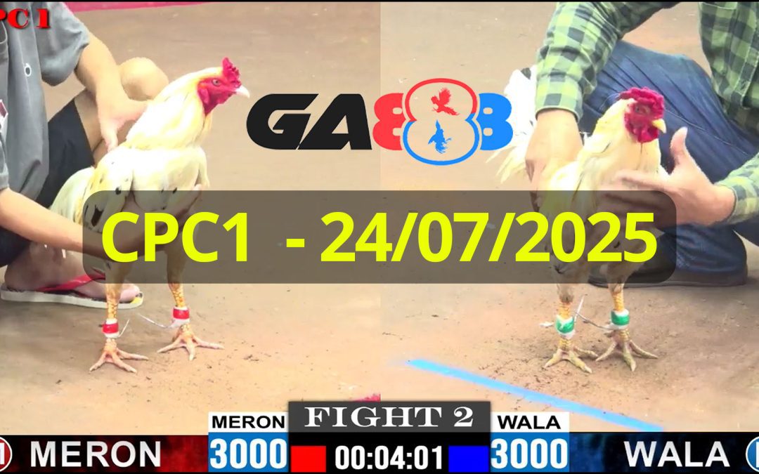 GA888 – Trực tiếp đá gà C1 ngày 24/07/2025