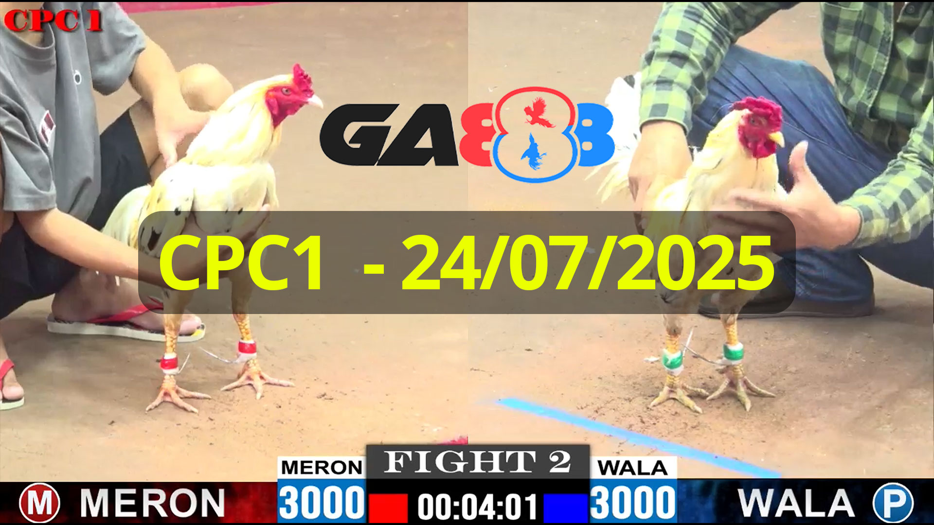 GA888 - Trực tiếp đá gà C1 ngày 24/07/2025