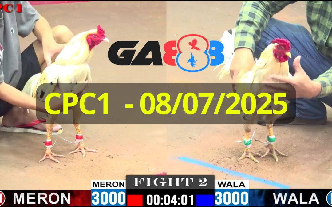 GA888 – Trực tiếp đá gà C1 ngày 08/07/2025