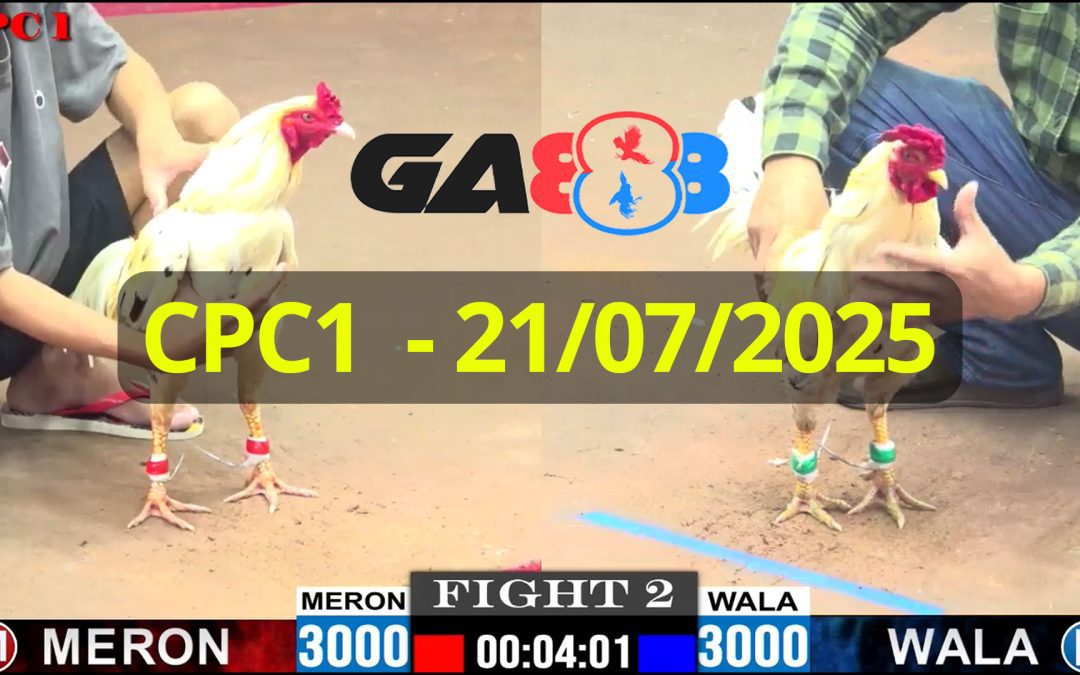 GA888 – Trực tiếp đá gà C1 ngày 21/07/2025
