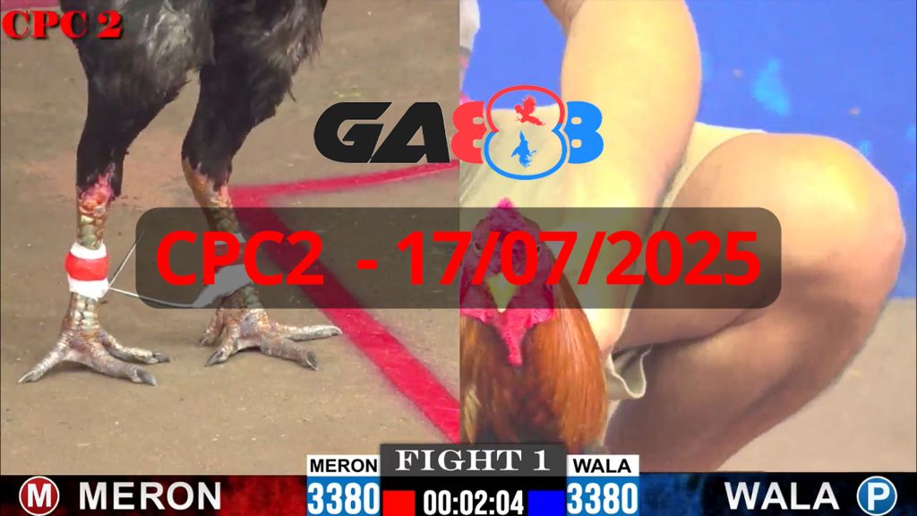 GA888 - Trực tiếp đá gà C1 ngày 17/07/2025