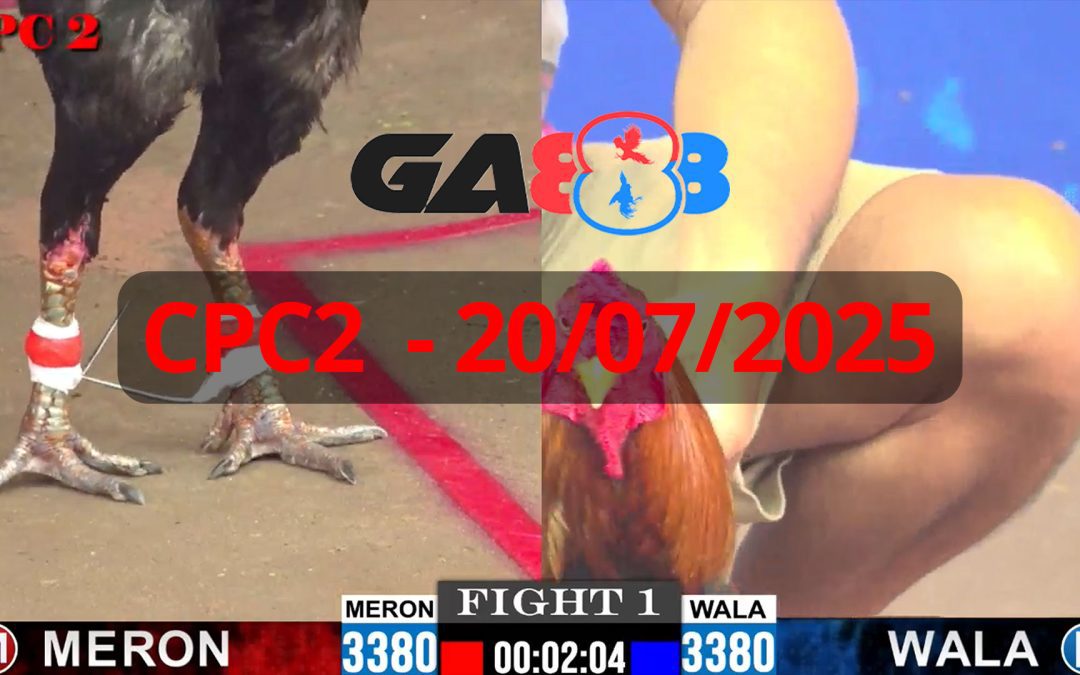 GA888 – Trực tiếp đá gà C2 ngày 20/07/2025