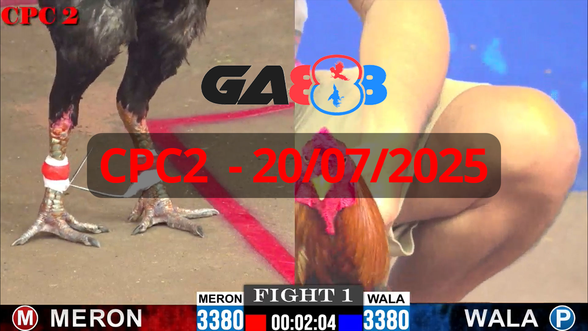 GA888 - Trực tiếp đá gà C2 ngày 20/07/2025