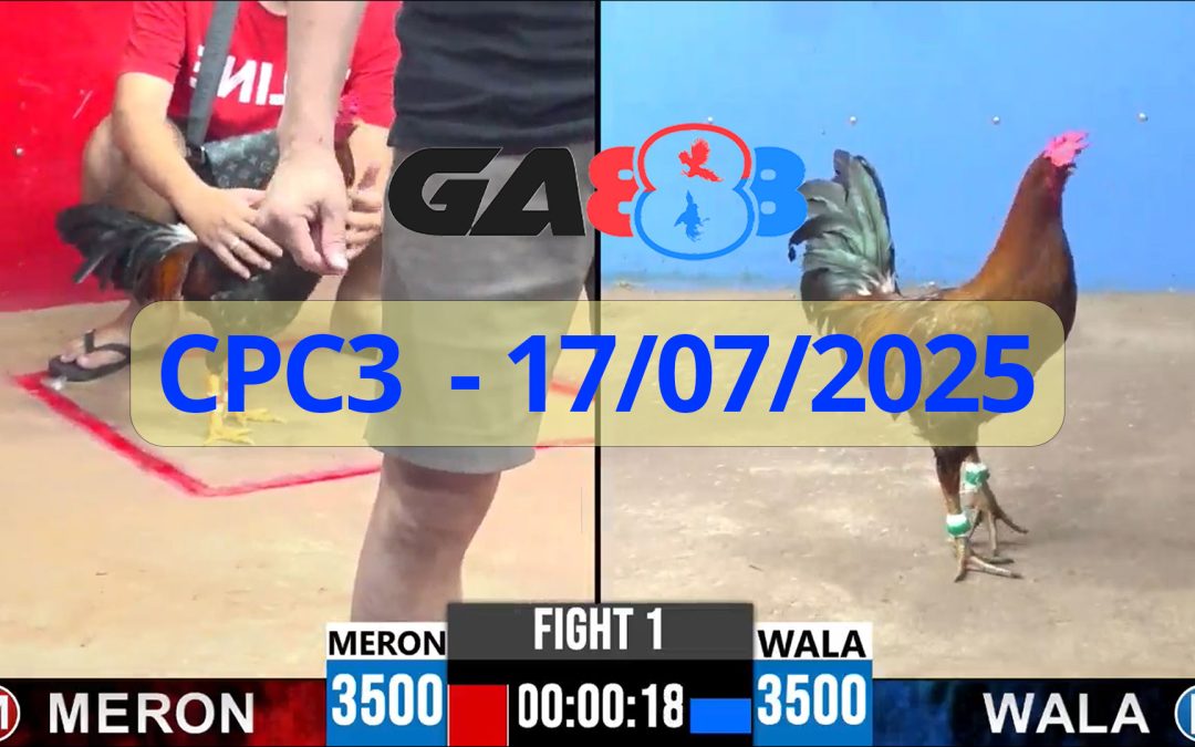 GA888 – Trực tiếp đá gà C3 ngày 17/07/2025