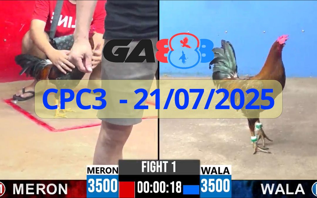 GA888 – Trực tiếp đá gà C3 ngày 21/07/2025