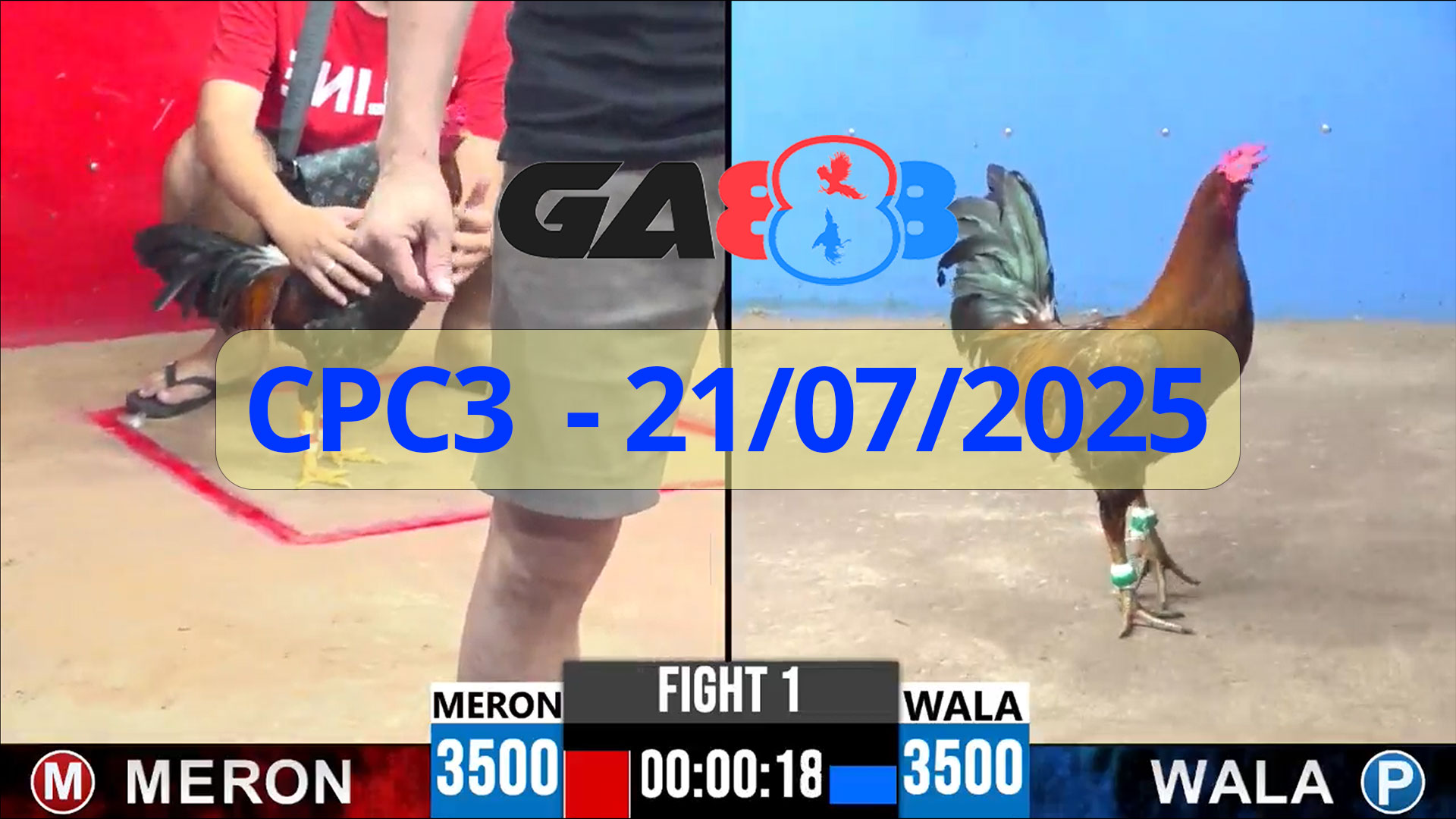 GA888 - Trực tiếp đá gà C3 ngày 21/07/2025