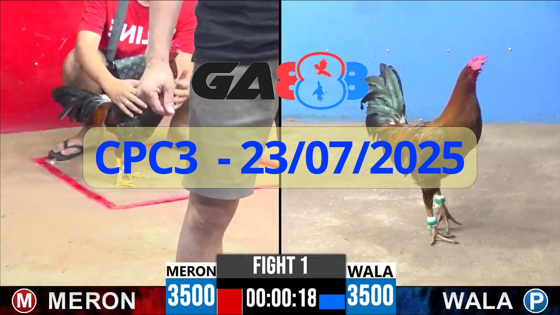 GA888 - Trực tiếp đá gà C3 ngày 23/07/2025