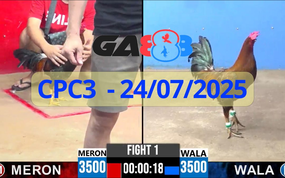 GA888 – Trực tiếp đá gà C3 ngày 24/07/2025