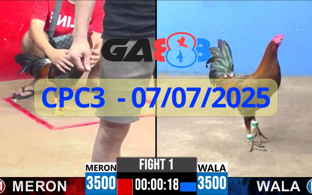 GA888 – Trực tiếp đá gà C3 ngày 07/07/2025