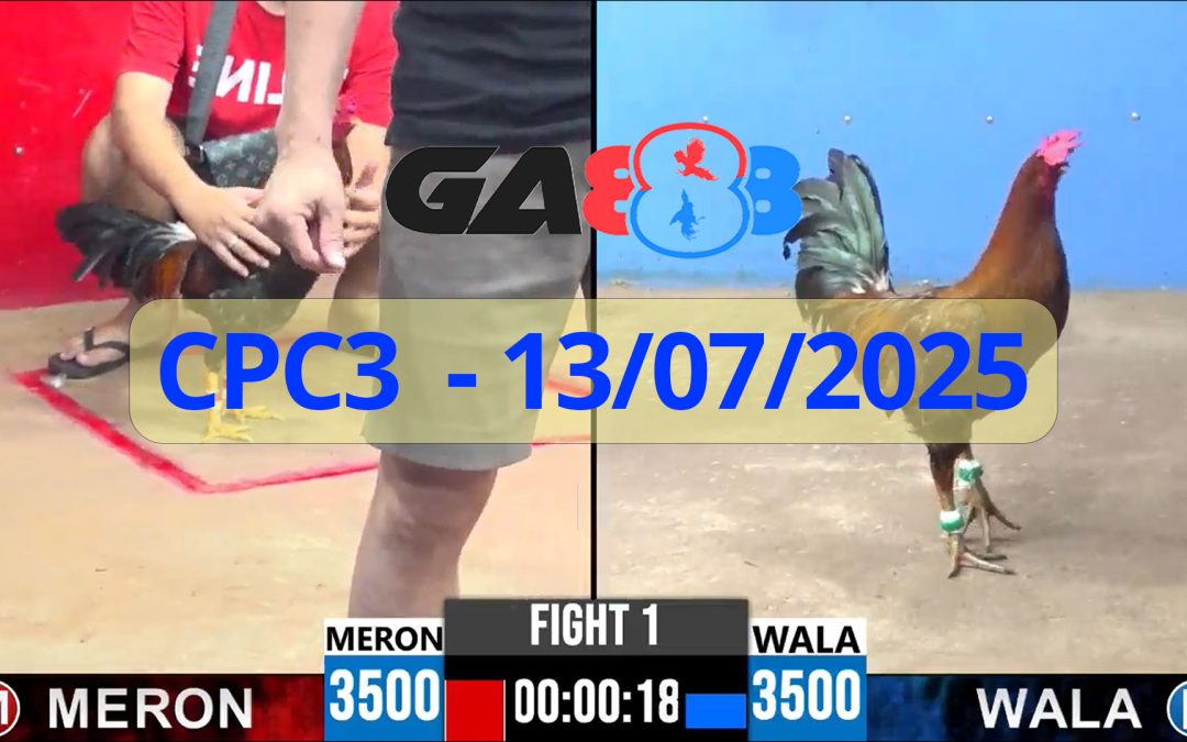 GA888 – Trực tiếp đá gà C3 ngày 13/07/2025