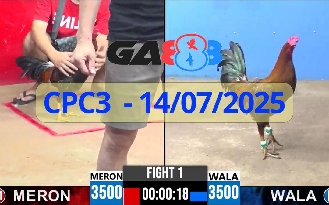 GA888 – Trực tiếp đá gà C3 ngày 14/07/2025